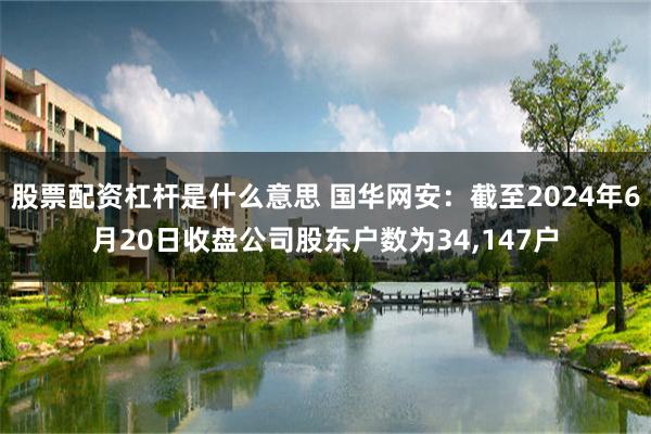 股票配资杠杆是什么意思 国华网安：截至2024年6月20日收盘公司股东户数为34,147户