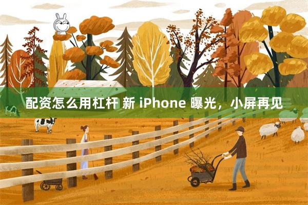 配资怎么用杠杆 新 iPhone 曝光，小屏再见