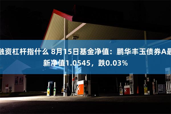 融资杠杆指什么 8月15日基金净值：鹏华丰玉债券A最新净值1.0545，跌0.03%