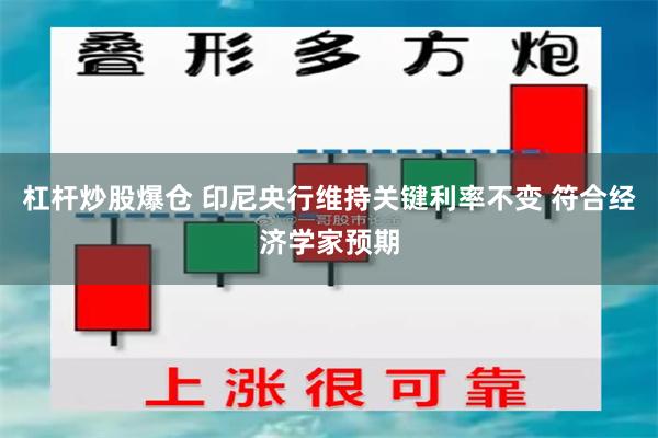 杠杆炒股爆仓 印尼央行维持关键利率不变 符合经济学家预期