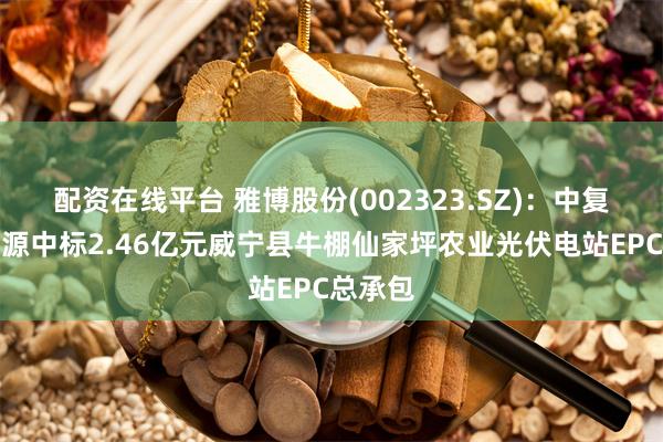 配资在线平台 雅博股份(002323.SZ)：中复凯新能源中标2.46亿元威宁县牛棚仙家坪农业光伏电站EPC总承包