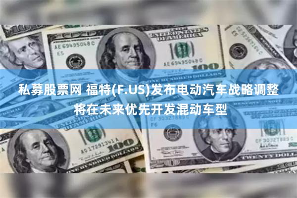 私募股票网 福特(F.US)发布电动汽车战略调整 将在未来优先开发混动车型