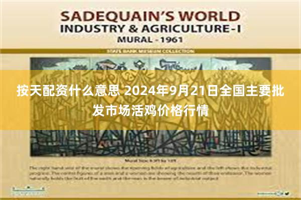 按天配资什么意思 2024年9月21日全国主要批发市场活鸡价格行情