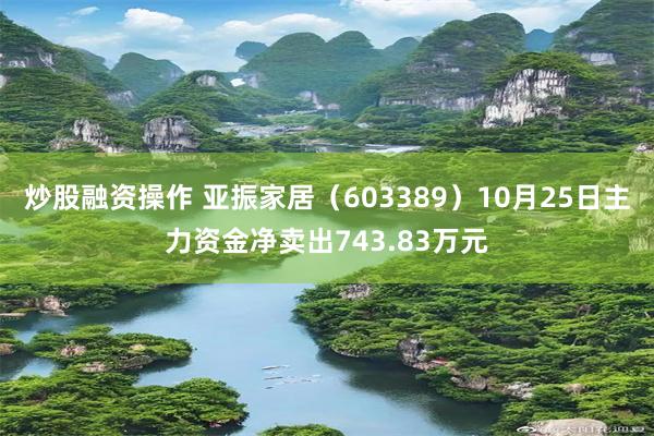 炒股融资操作 亚振家居（603389）10月25日主力资金净卖出743.83万元