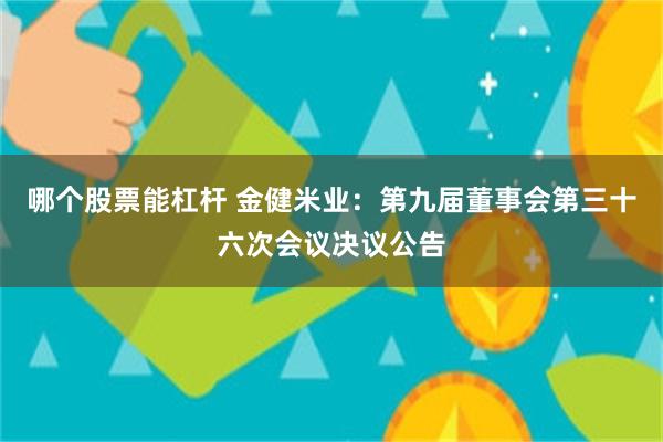 哪个股票能杠杆 金健米业：第九届董事会第三十六次会议决议公告